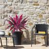 1pc Artificial Simulation Greenery, Spring & Summer Seasonal Decorations - Indoor/Outdoor Decoration