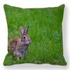 Velikonoční zajíček s potiskem povlak na polštářek jarní velikonoční vajíčko zajíc povlak na polštář domácí dekorace 40/45/50/60 cm