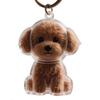 Dog Hair Memorial Keepsake Capsule Puppy Hair Collector Keychain Ornament Pet Hair Memorial Box Pet Fur Souvenirs Boxes