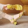 Fashion Simple Block Heel Sandals Women's Summer New Square Toe Thin Strap One Buckle Non-slip Wear-resistant High Heels