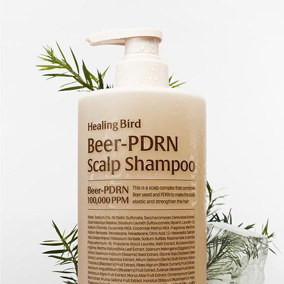 Healing Bird Beer-PDRN Scalp Shampoo 1000ml