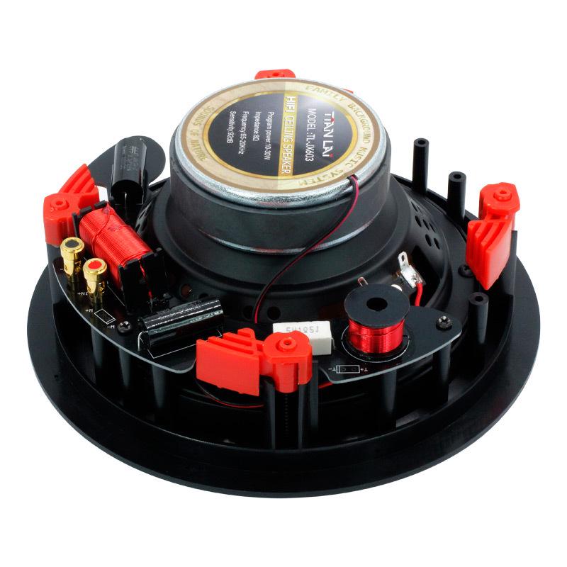 Professional Clear Voice Overhead Speaker for Conference Rooms