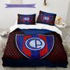 Club Cerro Porteño  Pattern Bedding Quilt Set  Home Decoration  Gift (1 * duvet cover + 2 * pillowcase  without core)