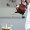320ml Yixing Purple Clay Teapot Raw Ore Red Mud Handmade Beauty and Health Pot Kung Fu Tea Set Business Gift