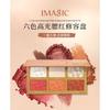 IMAGIC - 6 Colours Highlight / Blush / Contour Palette