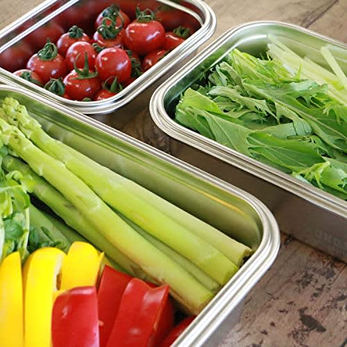 Nonoji Stainless Steel Storage Container, Microwave-Safe, Stainless Steel Magic Container, Small, 650ml, Oven-Safe, Freezer-Safe, and Dishwasher-Safe,