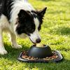 Slow Feeder Dog Bowl with Lick Mat Non-Slip Dog Lick Bowl