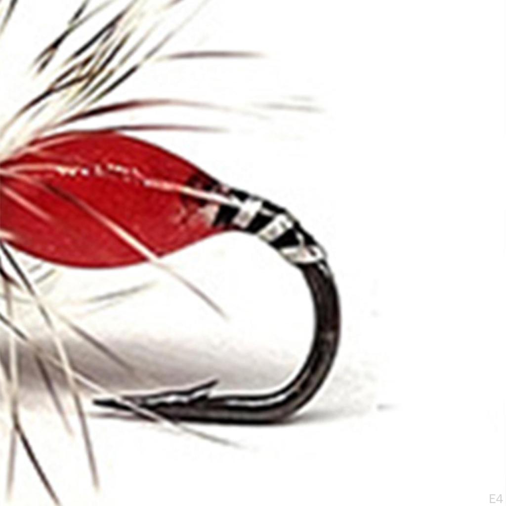 Fly Fishing Lures Assortment for Trout And Bass