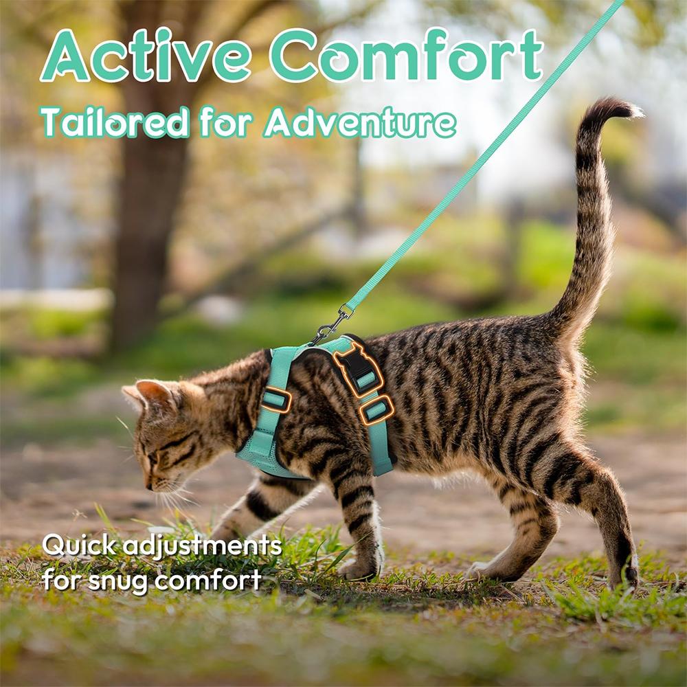 Cat Puppy Outdoor Walking Supplies Fashion Pet Harness And Leash Set For Small Dogs Cats Breathable Durable Kitten Harnesses