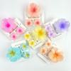 3Pcs/Set Gradient Hawaiian Flower Hair Clip Hibiscus Hair Clips New Hairpin  Summer Hair Accessories