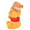 Disney Plush Doll Winnie the Pooh (S) HONEY DAY Japan NEW Disney Store