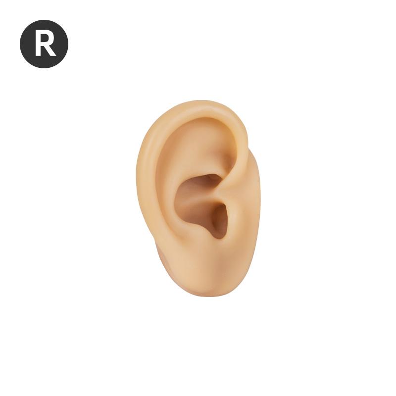 Realistic 3D Silicone Ear Model 1:1 Human Size Ear for Ear Piercing Practice Tattoo Training Display Props Tattoo Tools