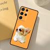 Chihuahua Dog Phone Case For Samsung Galaxy S24 Ultra S20 S21 S22 S23 S25 S9 S10 Plus S25 FE Cover Shell