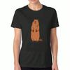 Groundhog Weather Guy Women's Cotton T Shirt, Premium Cotton Quality Print, Durable, Casual And Fashionable. I'm Not The Weather Guy Funny Graphic Des