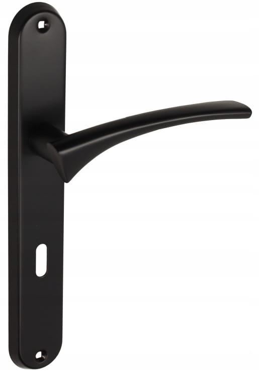 Internal Door Handle, Long Backplate on Key, Matt