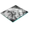 Kitchen Multifunctional Decorative Glass Board Dandelion 60X52 Cm