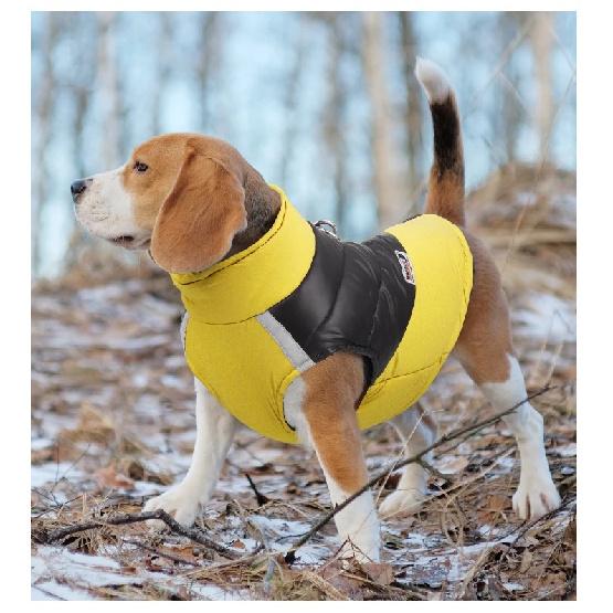 Vandtæt Vinter Hundetøj Varm Kæledyr Bomulds Jakke Vest Til Små Store Hunde Hvalp Fransk Bulldog Frakke Chihuahua York Kostume