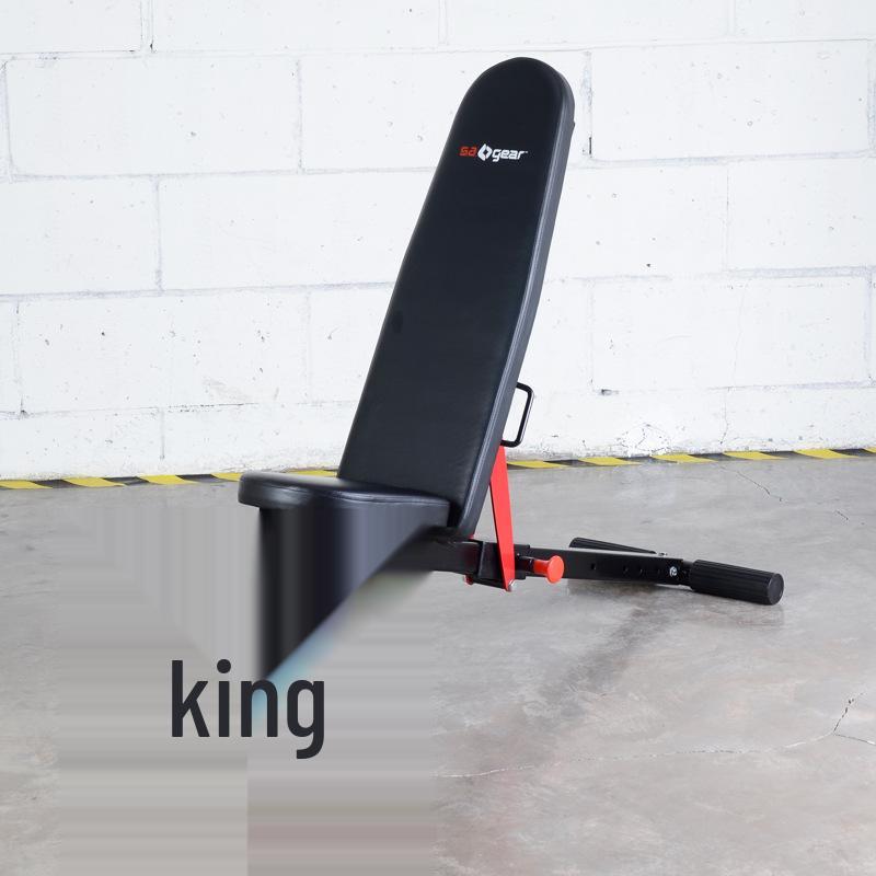 Multi-Functional Dumbbell Bench and Abdominal Sit-Up Station
