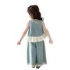 Girls Summer Denim 2 Piece Set Sleeveless Top With Stylish Wide Leg Pants Thin Baby Outfit