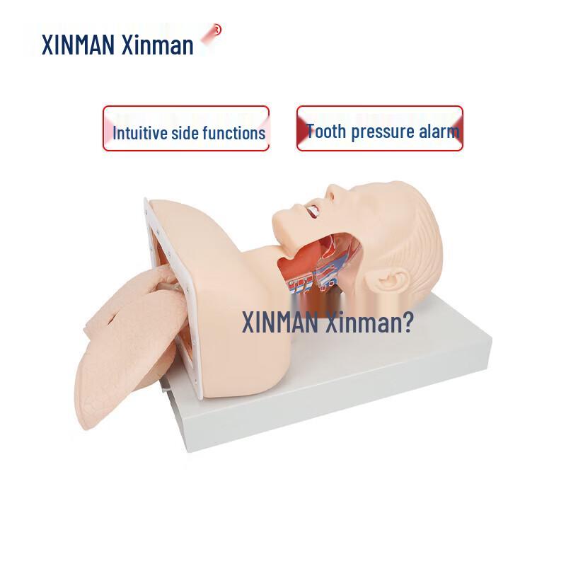 

XINMAN Advanced Adult Tracheal Intubation Training Simulator