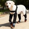 Wear-resistant Pet Rain Shoes Non-Slip Puppy Paws Protector Easy To Wear Dog Suspender Boots  Walk