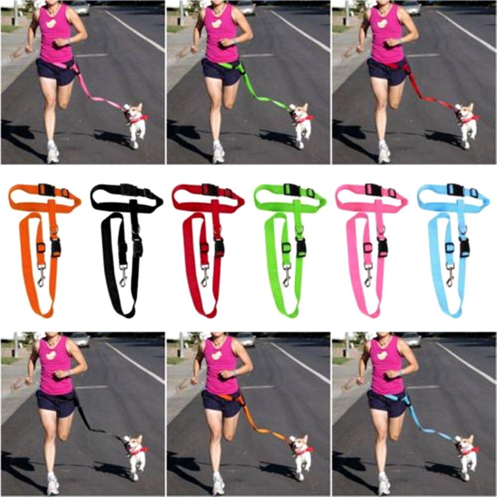 Buy Adjustable Walking Running Lead Leash Waist Belt Jogging Dog at