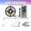 5V RGB Flexible LED Strip Lights, Color Changing Atmosphere Tape Light with 44 Keys Remote for Bedroom Indoor Home Decoration