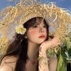 Summer Ins Hollow Big Brim Rough Rafi Straw Hat Women's Beach Hat Travel Seaside Vacation Sun Hat