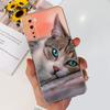 For OnePlus Nord Case 1+Nord AC2001 AC2003 Cute Cat Cartoon Cover Soft Silicone Phone Case For One Plus 8 Nord 5G Oneplus Z Bags