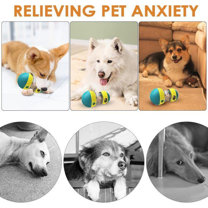 Jouet interactif pour chien - ULISEM - Distributeur de friandises - Jeux d'intelligence