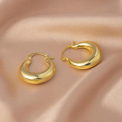 Exquisite 925 Silver Hoop Earrings for Women: Luxurious, High-End Design with Unique Niche Style and Eye-Catching Dangle Details.