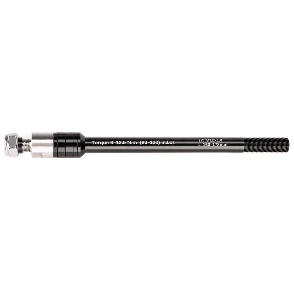 Adattatore per Bici con perni passanti standard Gancio per carrello bici Adattatore per perni passanti 12 mm con passo filettatura 1.0/1.5/1.75