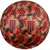 OGC Nice FC Size 5 Standard Football Durable Training Match Soccer Ball for Adult Outdoor Sports