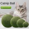 Bola de Catnip Extra Grande 10 cm Jumbo Gigante Fruta de Catnip Juguete Para Aliento Fresco Juguete para Gatos Suministros para el Cuidado de Gatos en Casa Palo Divertido Sisal Campana