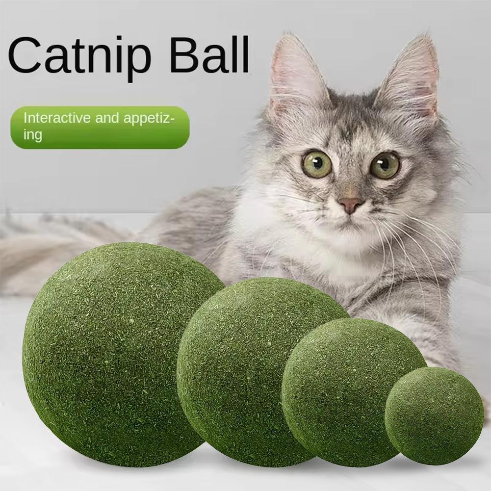 Bola de Catnip Extra Grande 10 cm Jumbo Gigante Fruta de Catnip Juguete Para Aliento Fresco Juguete para Gatos Suministros para el Cuidado de Gatos en Casa Palo Divertido Sisal Campana