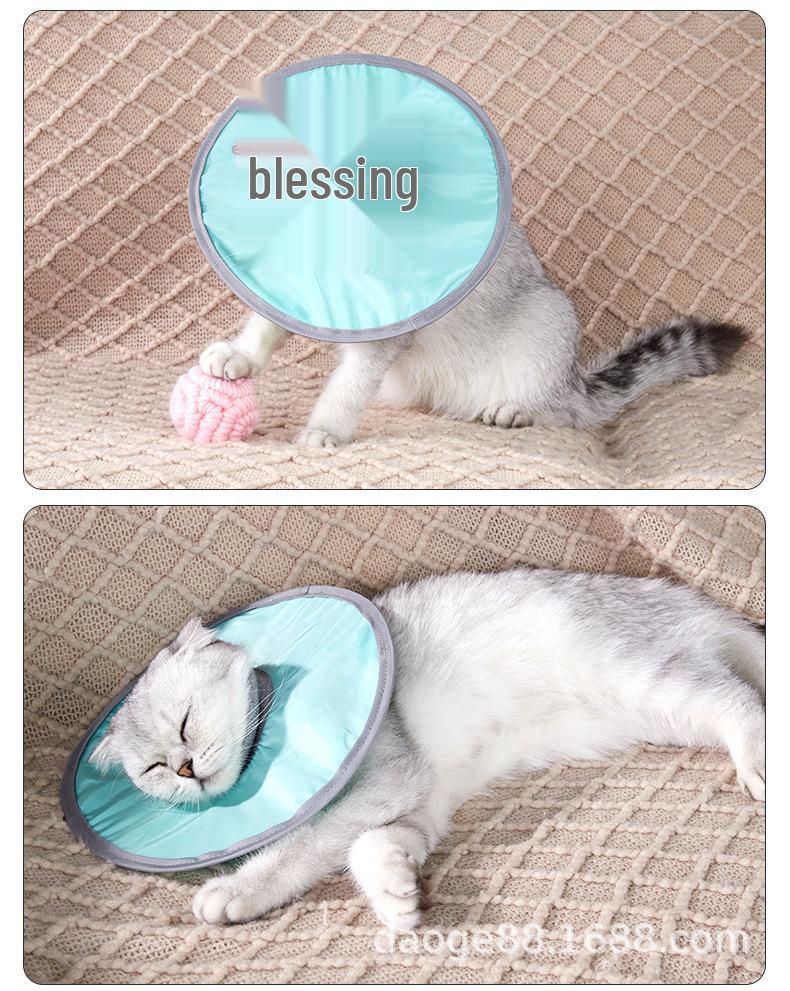 White Cat Recovery Collar: Elizabethan Anti-Lick Post-Surgery Bib