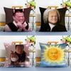 J-JYP Meme Pillow Case Silky elegant Comfort Sofa Bed Invisible zipper Beach pillowcase