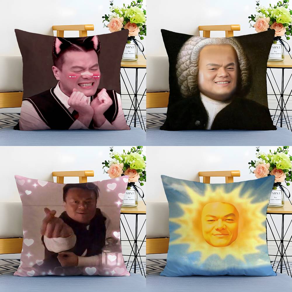J-JYP Meme Pillow Case Silky elegant Comfort Sofa Bed Invisible zipper Beach pillowcase