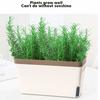 Rectangular Planter Flower Decorative Garden Planter Garden Plant Pot Indoor Plants Flowers Planter Decorative Planter