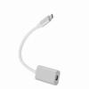 USB3.1 Typec To Mini DisplayPort Adapter USBC To Mini DP Converter For Macbook Silver