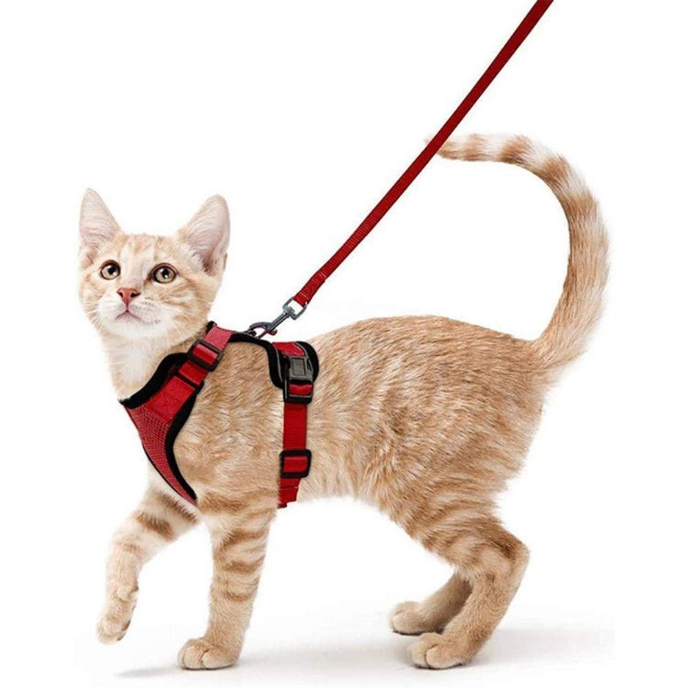 Breathable Cat Harness and Leash Escape Proof Cat Chest Strap Mesh Dog Harness  Training