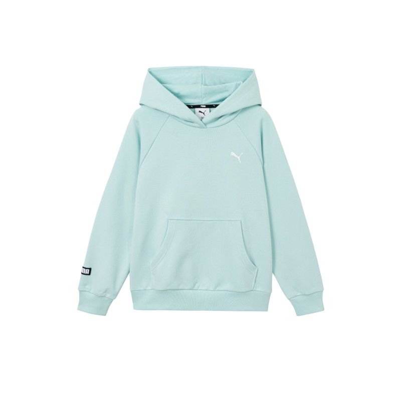 PUMA Kids Sweatshirts Hooded Moderate 353126121102-40001 150