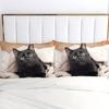 Cute pet kitten 3d Printed Bedding Set Cute Animal Style Duvet Cover set Soft Comfortable Home Polyester Luxury Quilt Cover Set