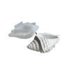 Conch Potted Flower Pot Mould Conch Jewelry Storage Box Silicone Mold Succulent Flower Pot Mold Gypsum Plaster Resin Concrete Mold for Home