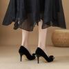 Temperament French Small Single Shoes Annual Meeting with High-end Daughter High-end Black High Heels Women's Round Head