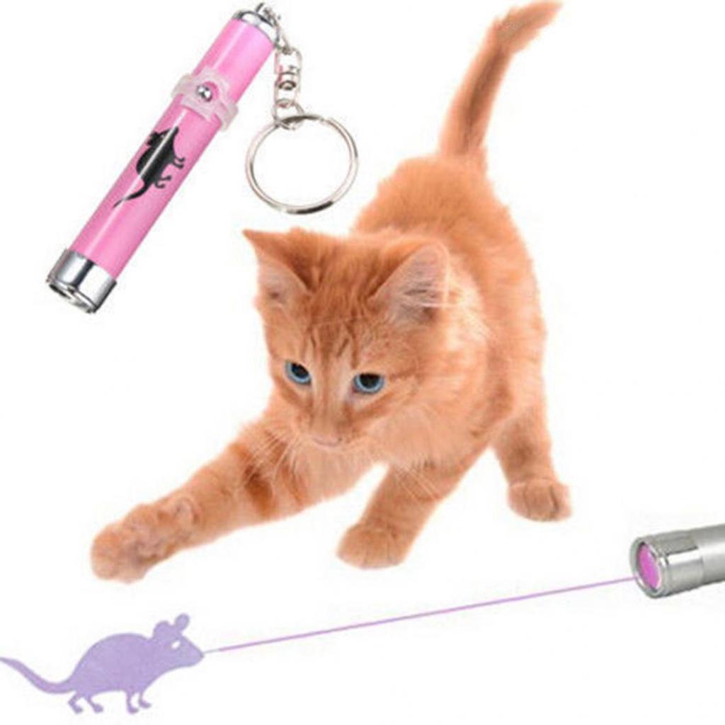 laser pointer cat toy