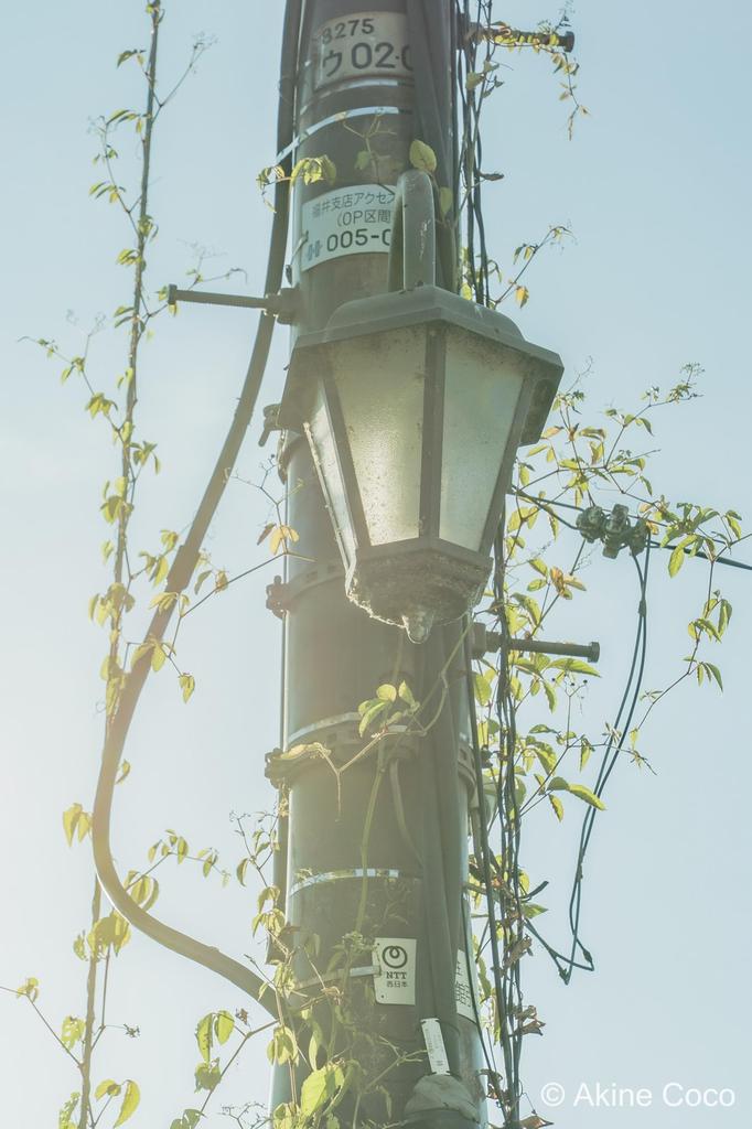 Kenko Nostal Tone Green 52mm Soft Softening and Color Like a Scene from an Made In 152294 Filter, Effects, Anime, Japan,