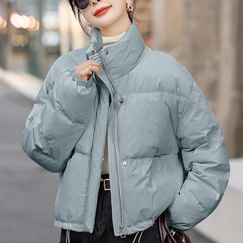 2024 Winter Korean-Inspired Loose Petite Stand-Up Collar Down Jacket for Women