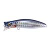 KIRINJI 70 FA Mullet