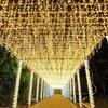 Oeny Blue LED Icicle String Lights